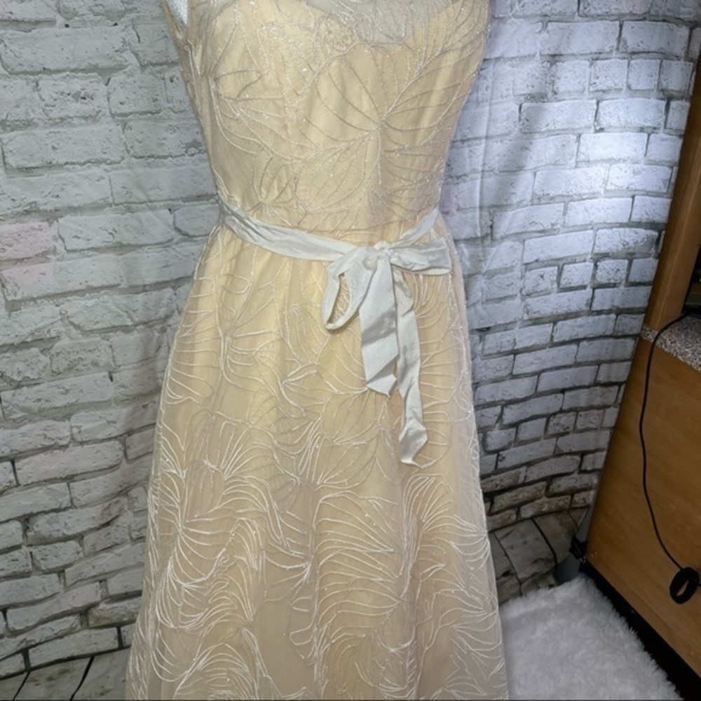 BCBG Off White Sheer Yoke MIDI Dress 4 - Picture 9 of 16